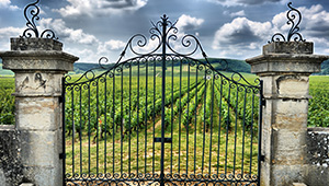 vente vin bordeaux