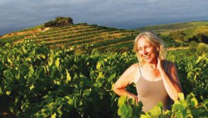 vente vins biologiques