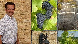 grands crus Bourgogne