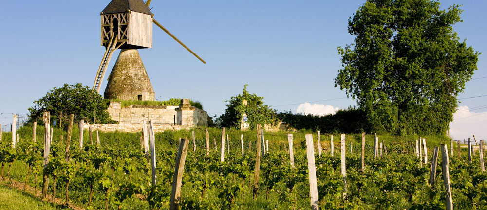 beaujolais03
