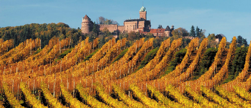 achat-vin-alsace