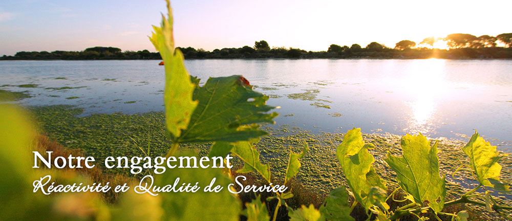 achat-vin-bio